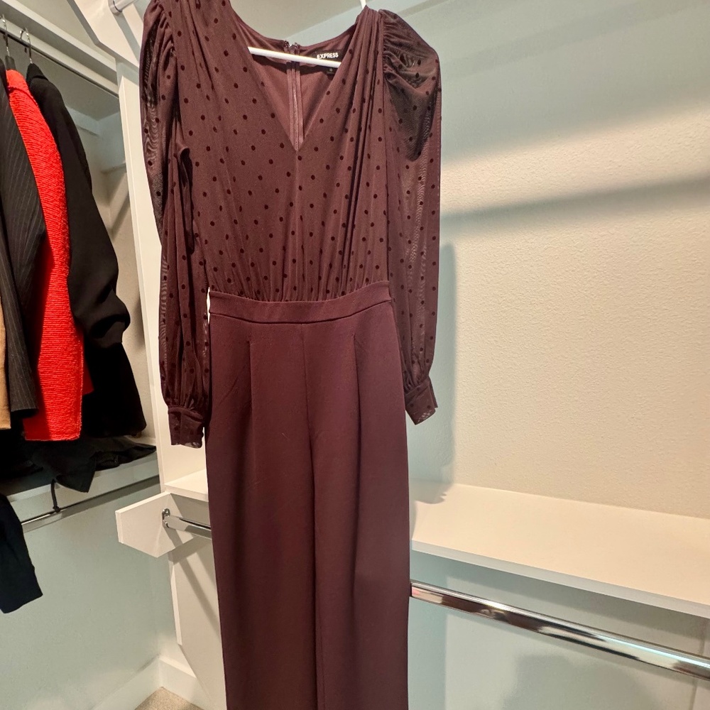Express Long Sleeve Swiss Dot Jumpsuit – Burgundy